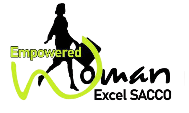 ewesacco Zimbabwe Loans